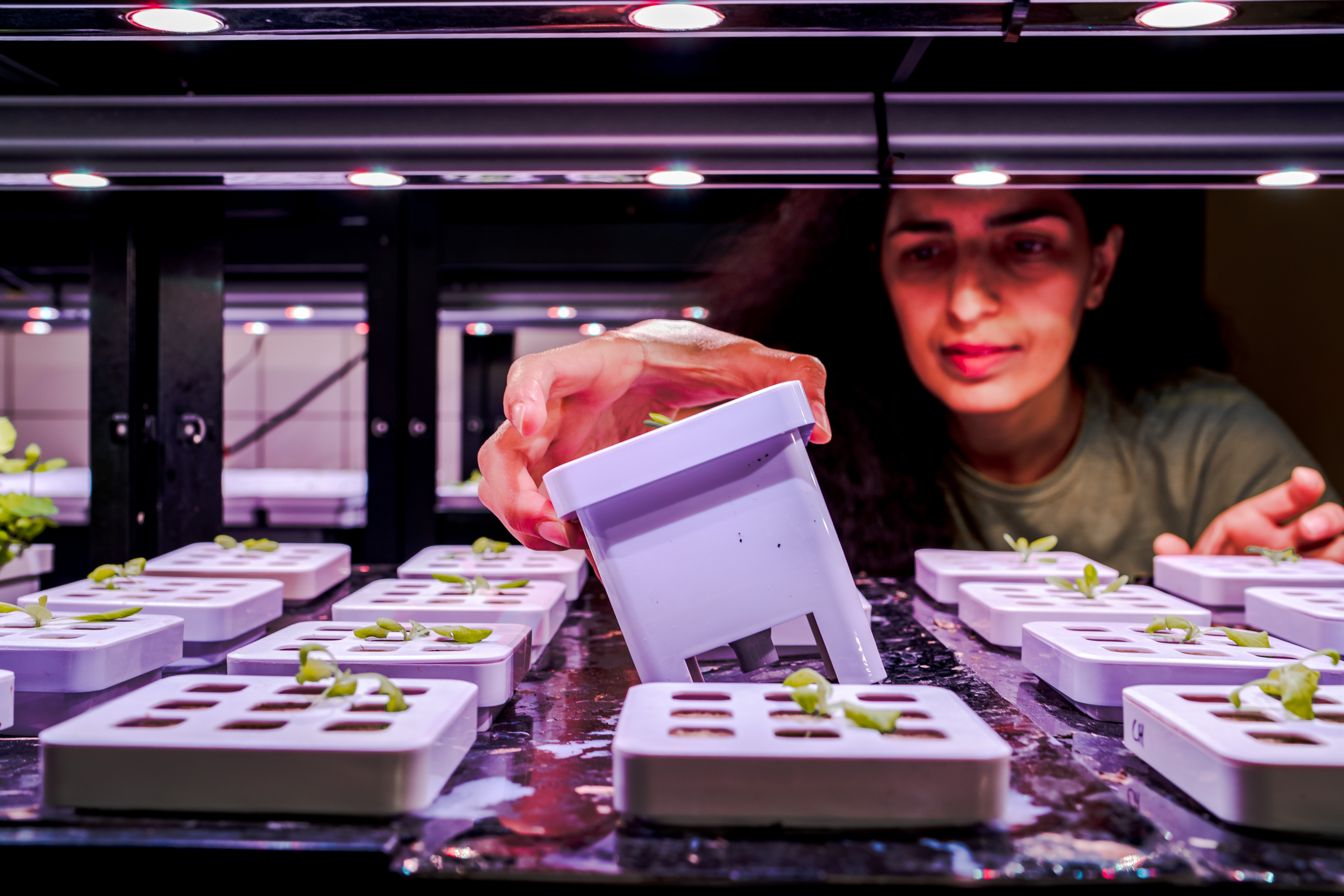 Bedrijfsruimte voor opslag en productie voor start-ups en scale-ups in foodvalley
